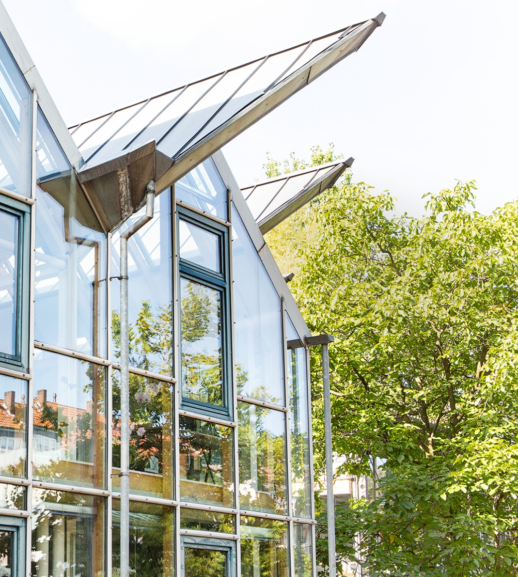 Gebäude mit großen Fenstern neben grünem Baum, sonniger Tag