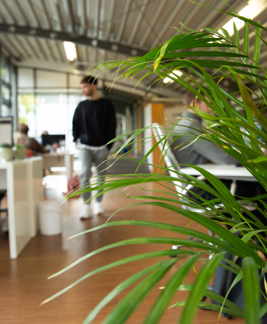 Lohnbuchhaltung in modernem Büro mit Pflanzen