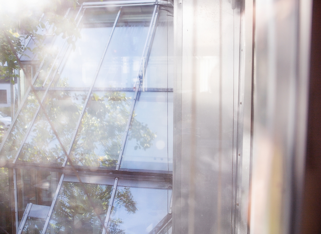 Große Fensterfront reflektiert Bäume, sonnige, helle Außenansicht
