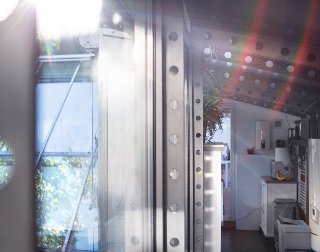 Metallträger reflektieren Licht, Innenraum mit Pflanzen, moderne Küche