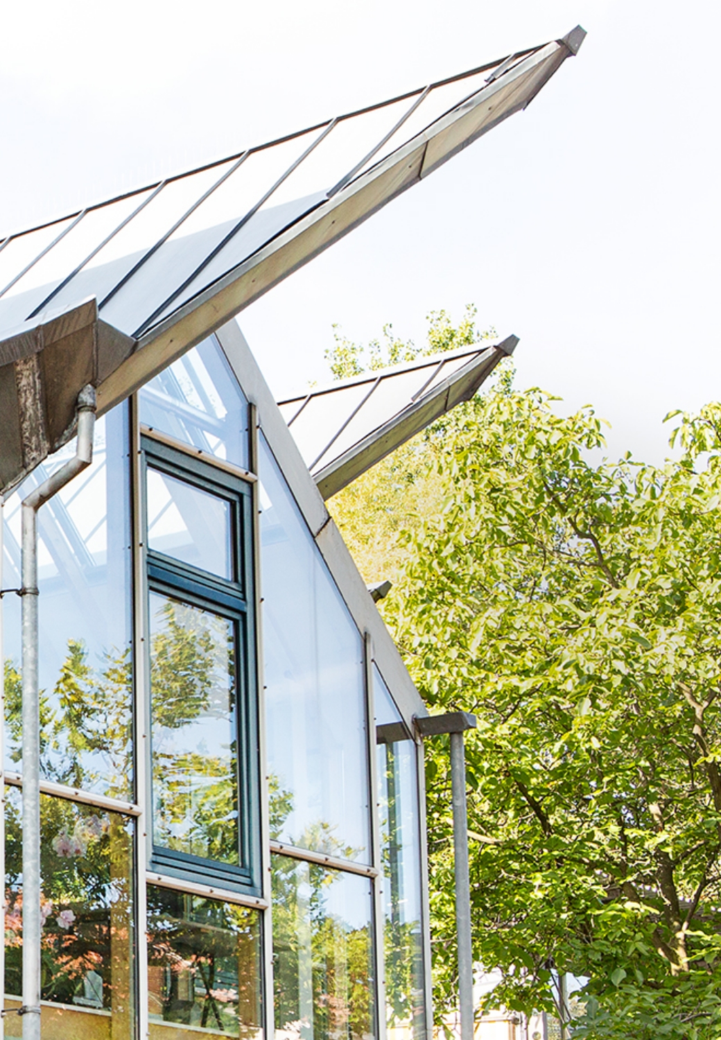 Glasgebäude reflektiert Bäume, umgeben von grünem Laubwerk